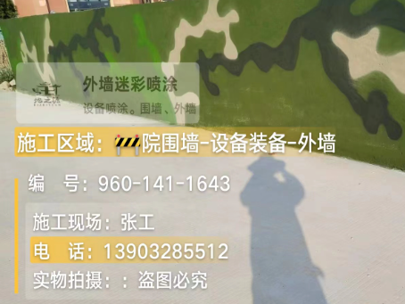 贺州 迷彩漆喷涂价格（按平方米计费）